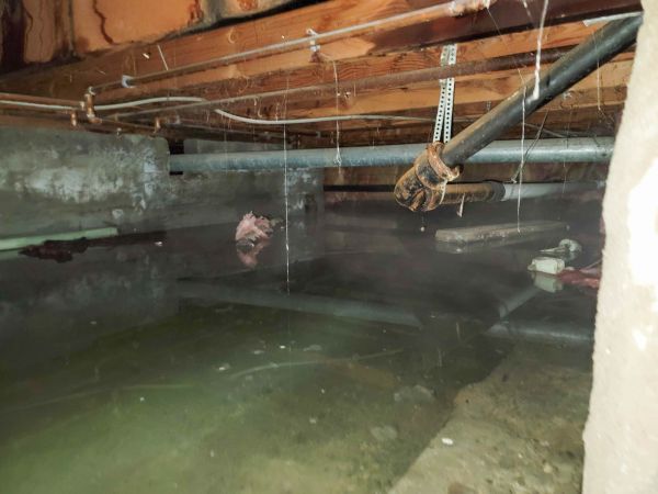 Cost of Crawlspace Drainage in Castle Rock